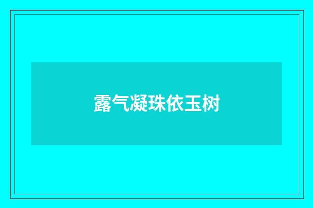 露气凝珠依玉树