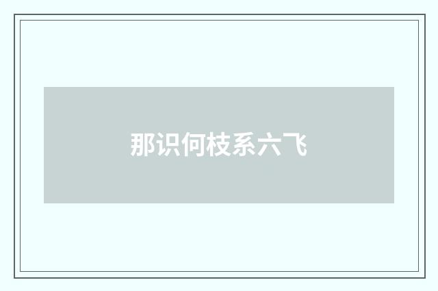 那识何枝系六飞