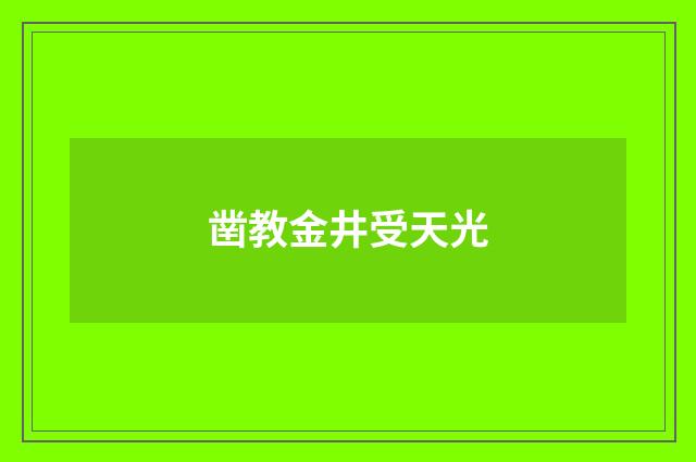 凿教金井受天光