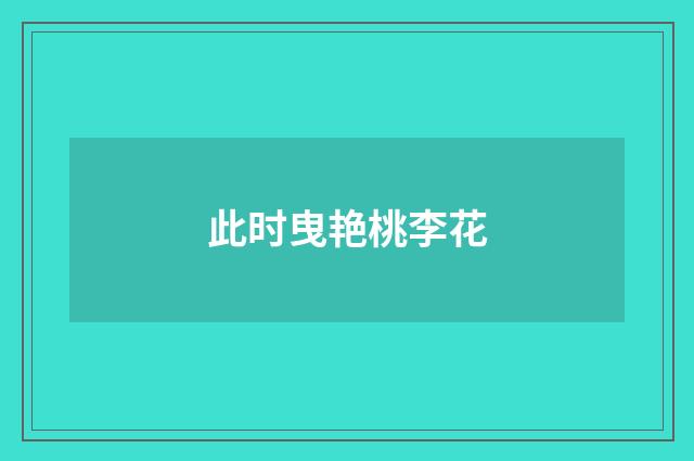 此时曳艳桃李花