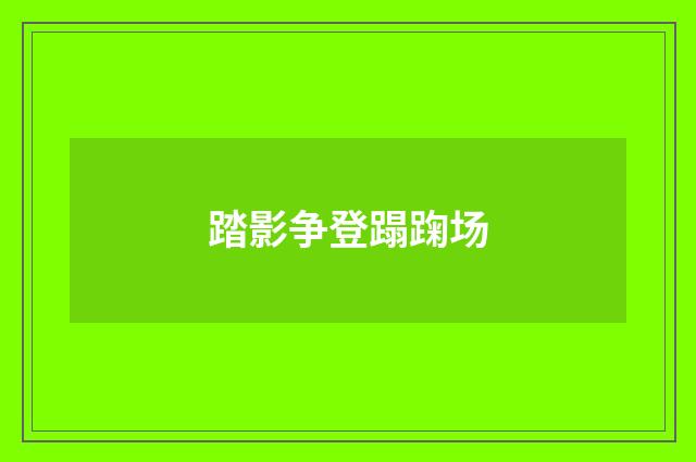 踏影争登蹋踘场