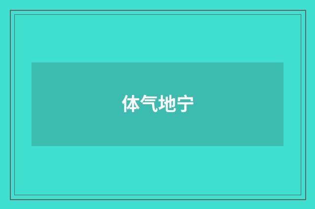 体气地宁