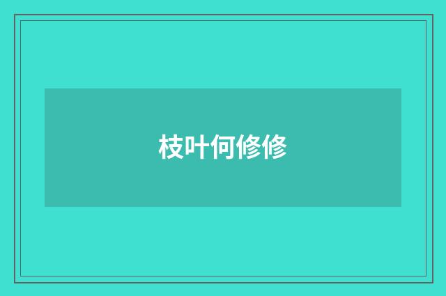 枝叶何修修