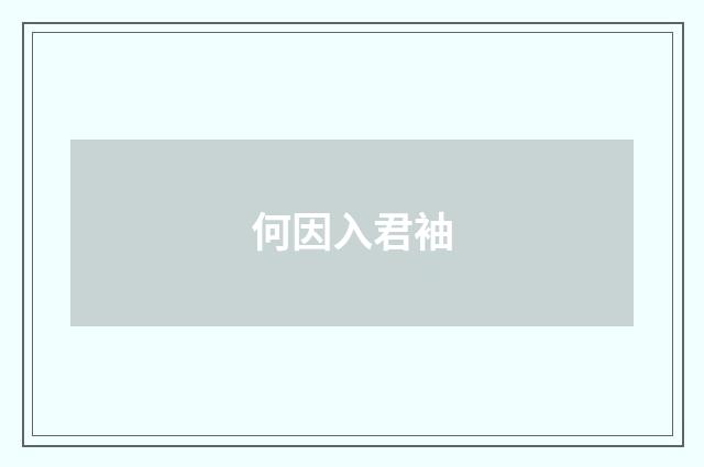 何因入君袖