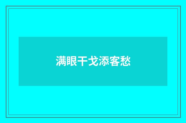 满眼干戈添客愁
