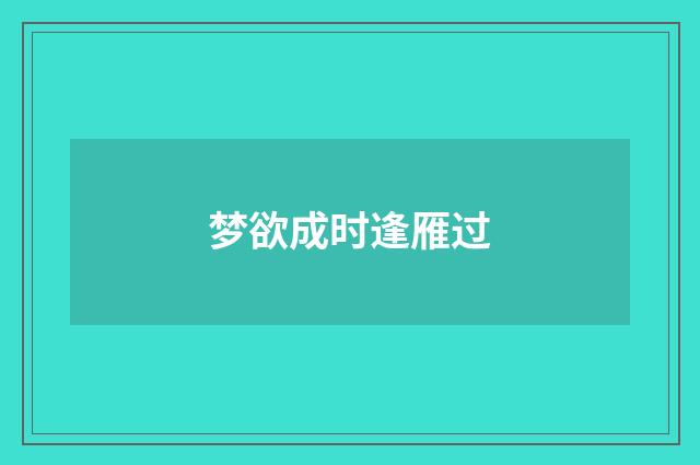 梦欲成时逢雁过