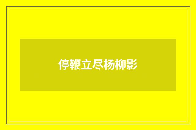 停鞭立尽杨柳影