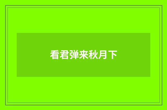 看君弹来秋月下