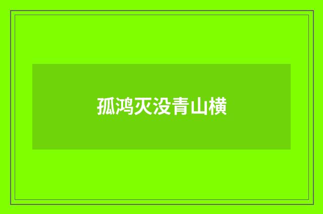 孤鸿灭没青山横