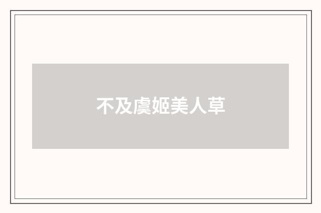 不及虞姬美人草