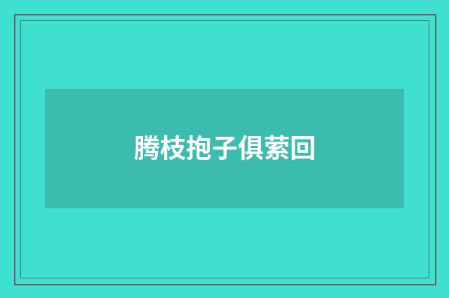 腾枝抱子俱萦回