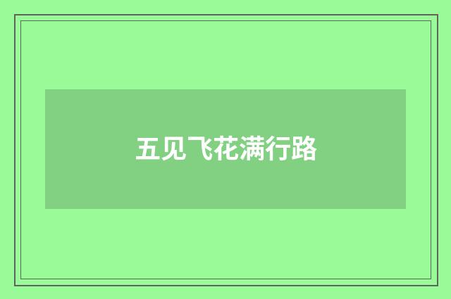 五见飞花满行路