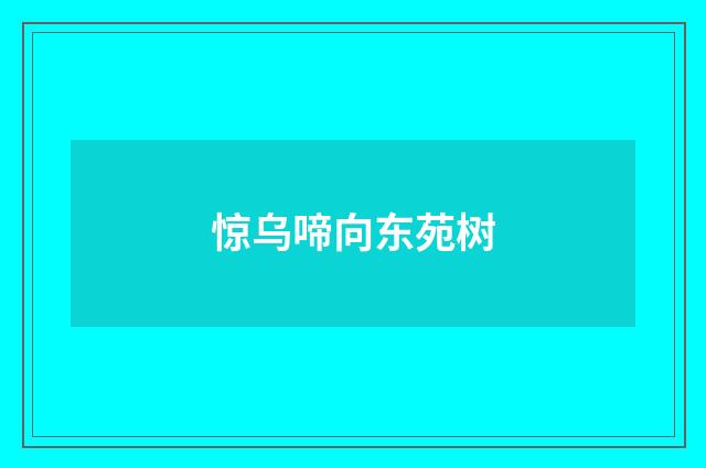 惊乌啼向东苑树