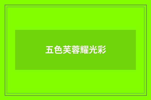 五色芙蓉耀光彩