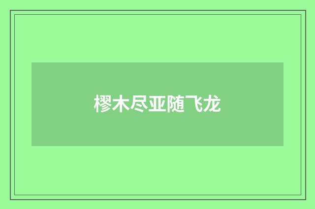 樛木尽亚随飞龙