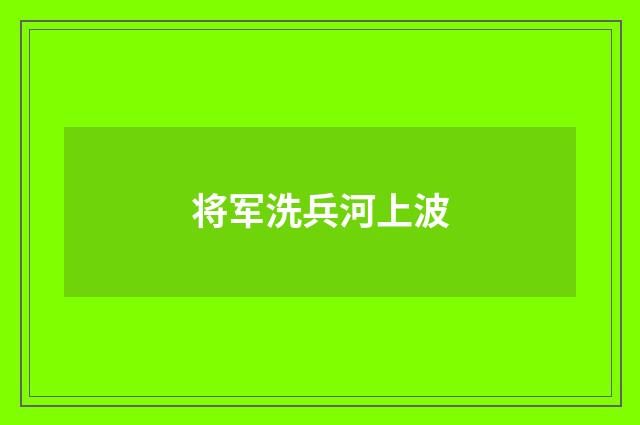 将军洗兵河上波