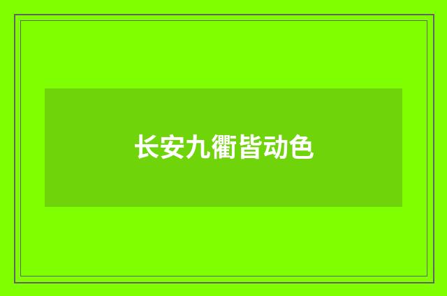 长安九衢皆动色