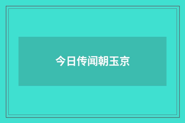 今日传闻朝玉京