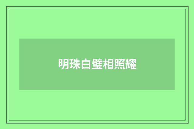 明珠白璧相照耀