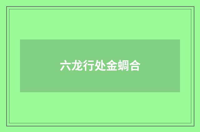 六龙行处金蜩合