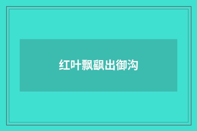 红叶飘飖出御沟