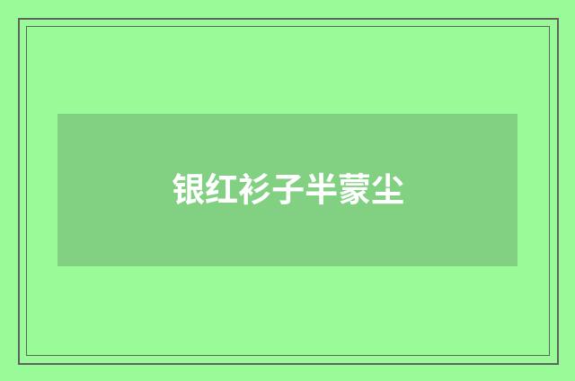 银红衫子半蒙尘