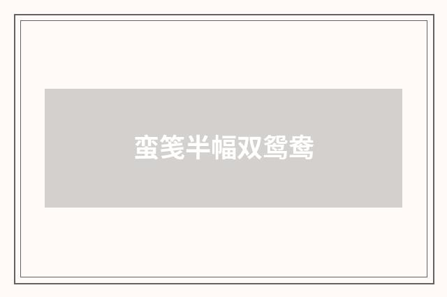 蛮笺半幅双鸳鸯