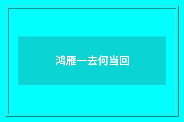 鸿雁一去何当回