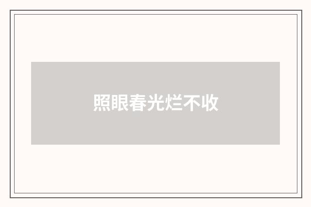 照眼春光烂不收