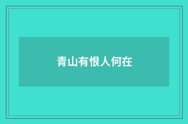 青山有恨人何在