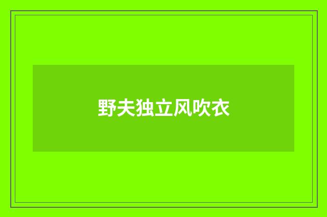 野夫独立风吹衣