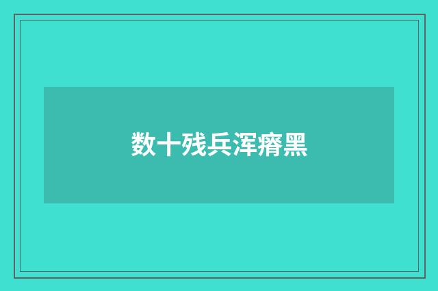 数十残兵浑瘠黑
