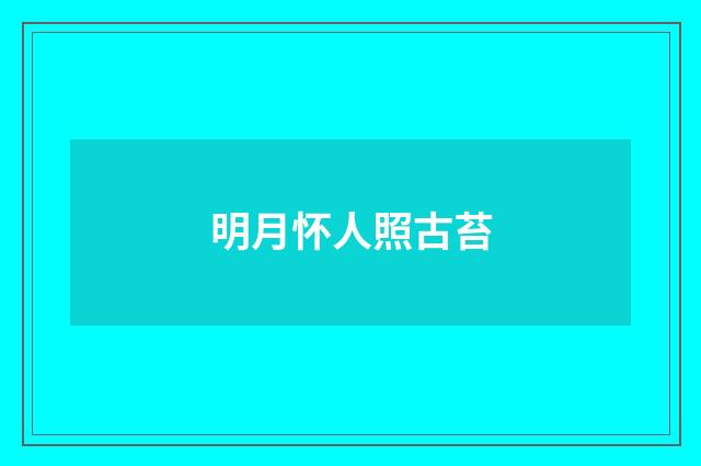 明月怀人照古苔