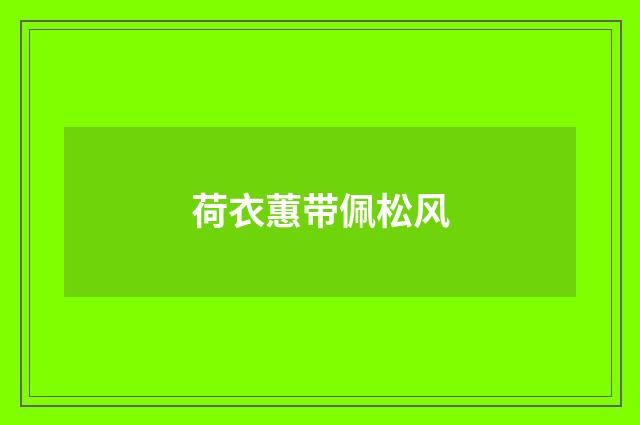 荷衣蕙带佩松风