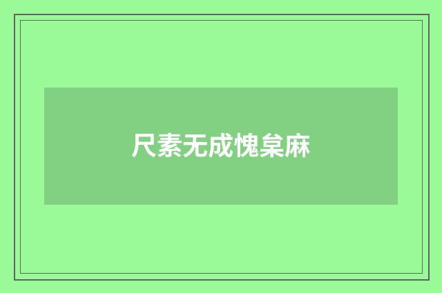 尺素无成愧枲麻