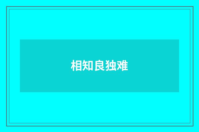 相知良独难
