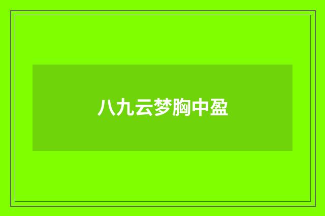 八九云梦胸中盈