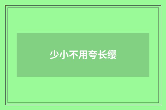 少小不用夸长缨