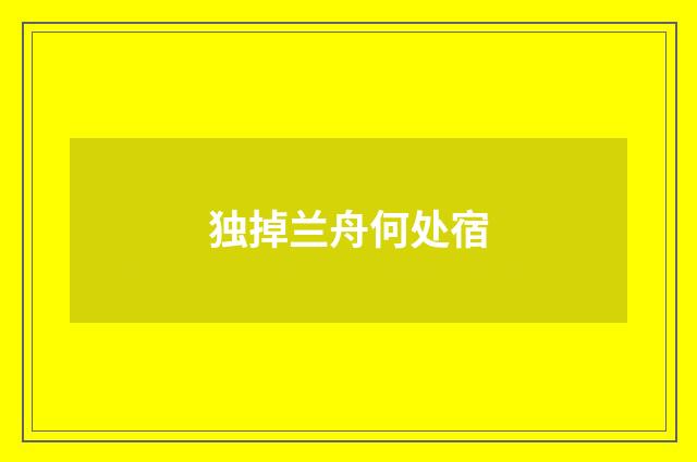 独掉兰舟何处宿
