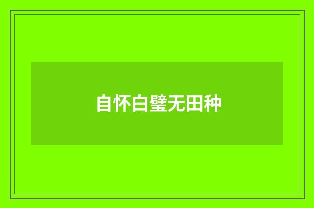 自怀白璧无田种