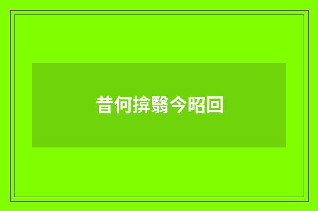 昔何揜翳今昭回