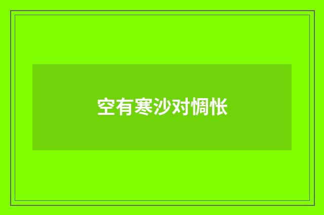 空有寒沙对惆怅