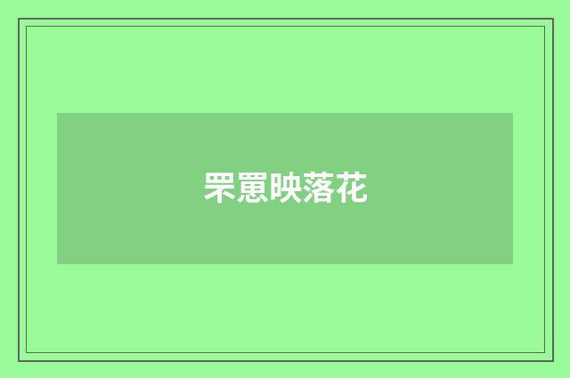 罘罳映落花
