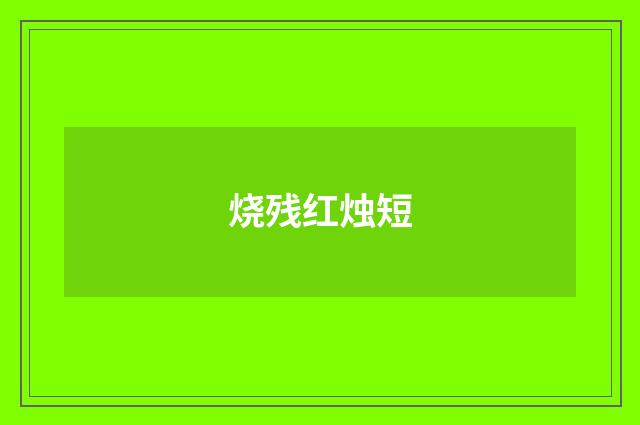 烧残红烛短