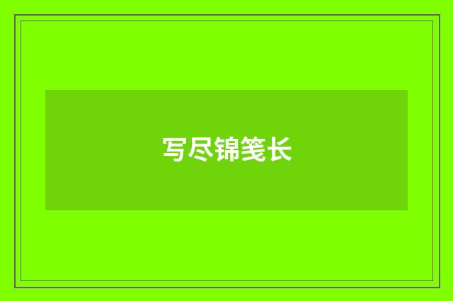 写尽锦笺长