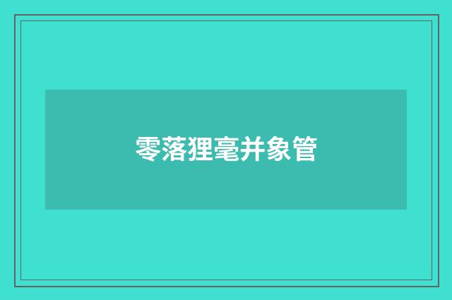 零落狸毫并象管