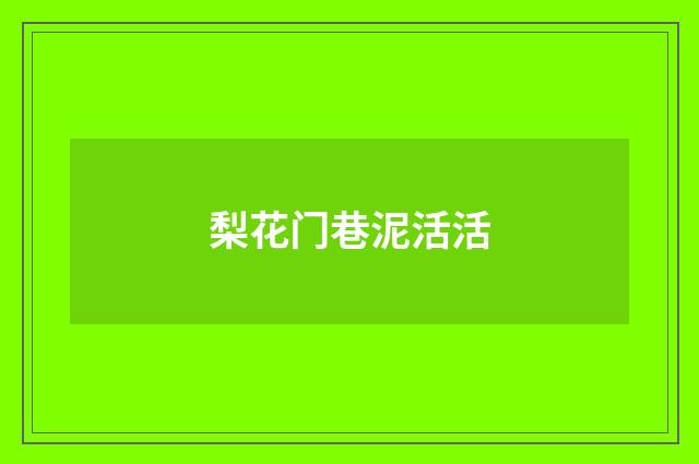 梨花门巷泥活活