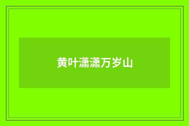 黄叶潇潇万岁山