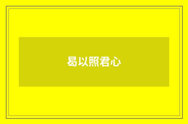 曷以照君心