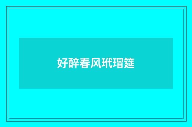 好醉春风玳瑁筵